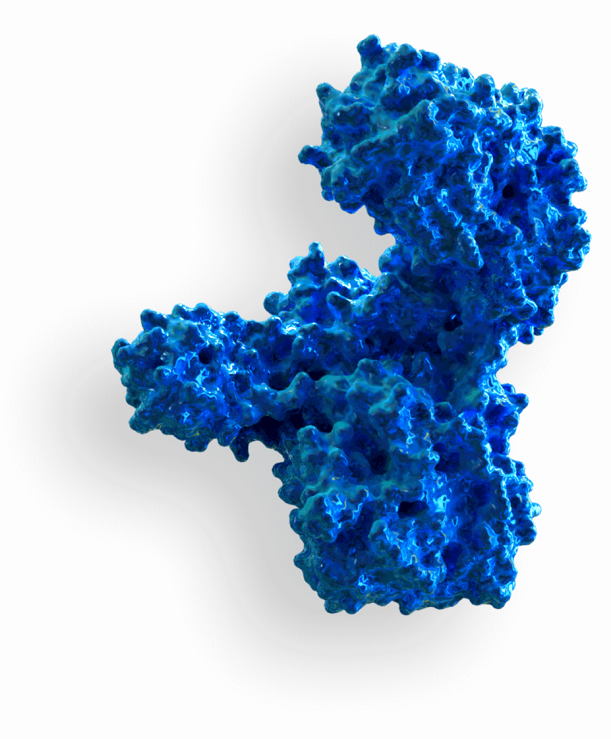 Xeomin Molecule